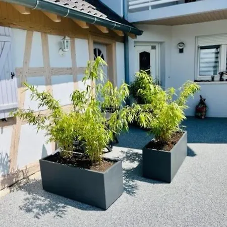 S'hiesele Petite Maison Alsacienne Typique