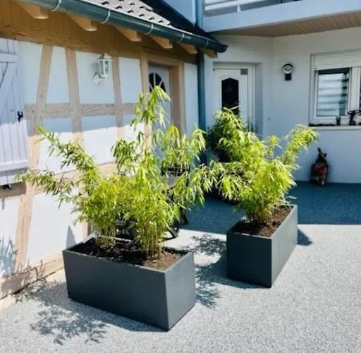 S'hiesele Petite Maison Alsacienne Typique
